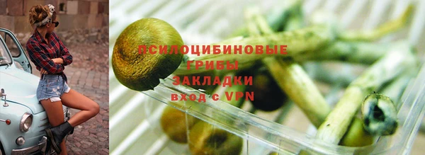 2c-b Абаза