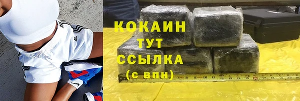 прущие грибы Рославль