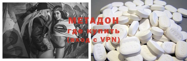прущие грибы Чита