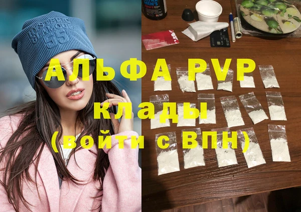 прущие грибы Рославль