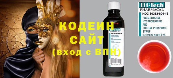 прущие грибы Рославль
