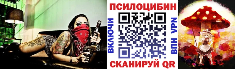Псилоцибиновые грибы Psilocybe  наркотики  Кириллов 